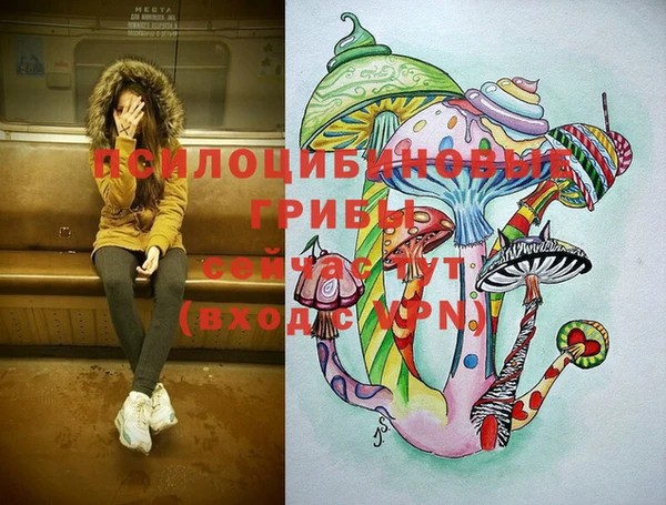 ПСИЛОЦИБИНОВЫЕ ГРИБЫ Елизово