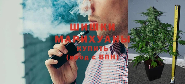 ПСИЛОЦИБИНОВЫЕ ГРИБЫ Елизово