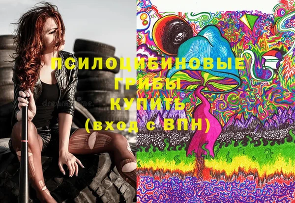 ПСИЛОЦИБИНОВЫЕ ГРИБЫ Елизово